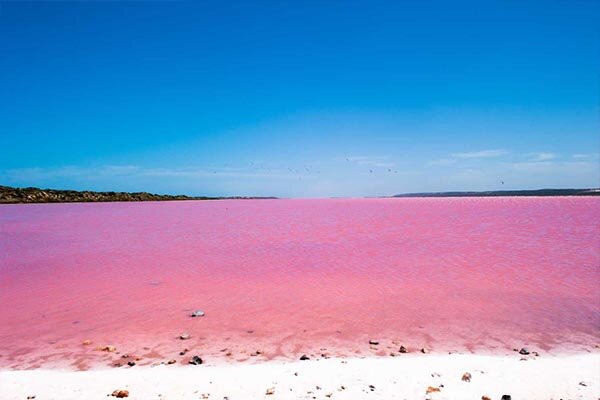 Lake Hillier, WA, Australia
