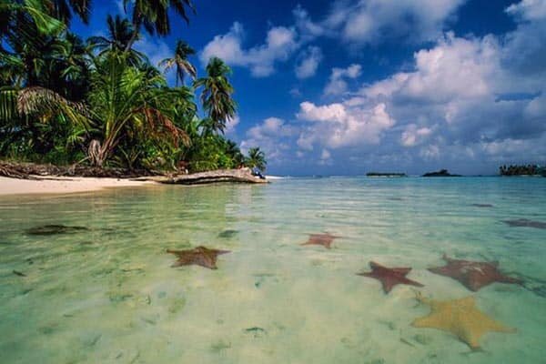 Starfish Beach, Panama