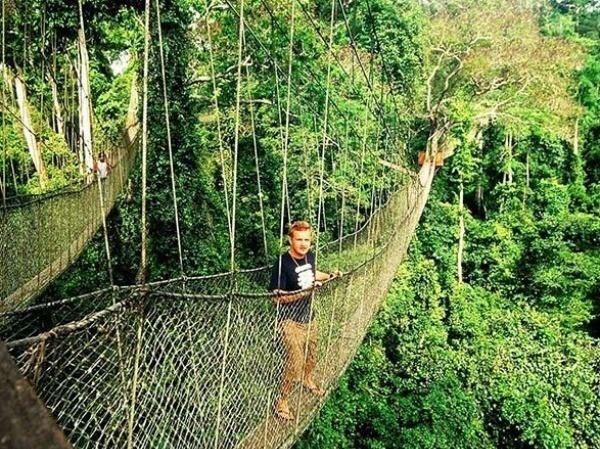 Canopy Walk, Ghana