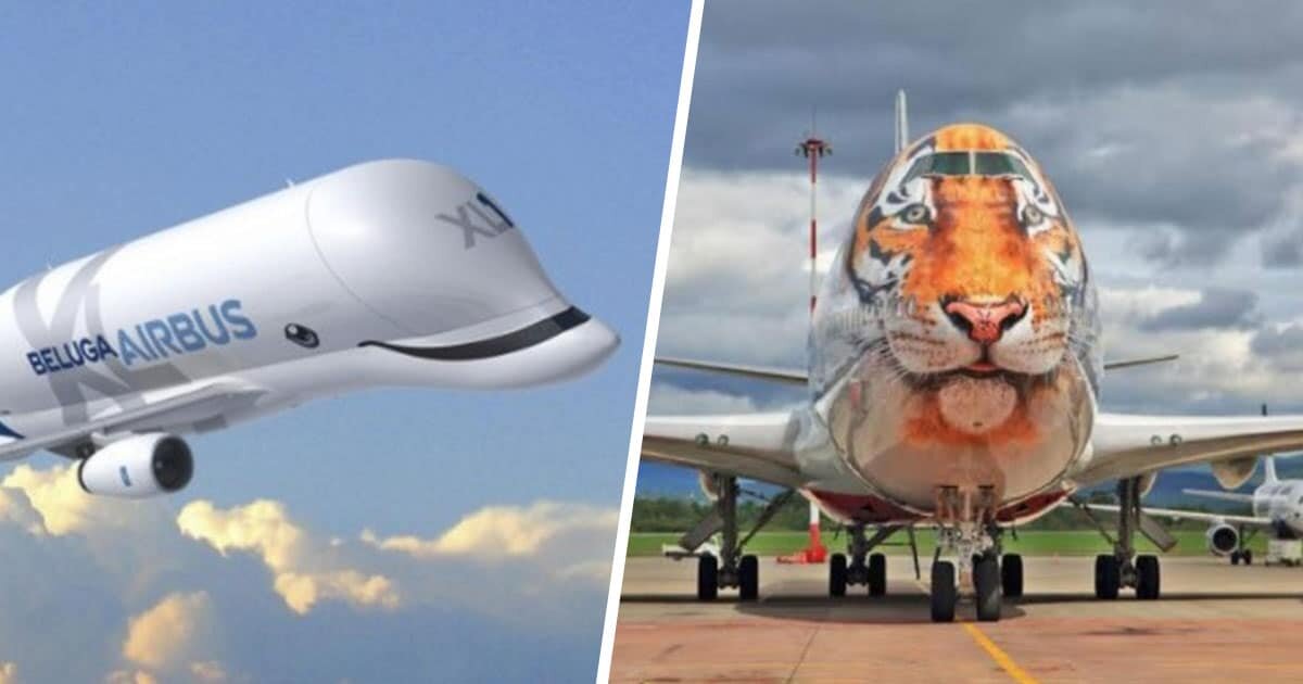 The world's leading aircraft are painted in an incredible way to create masterpieces in the sky.