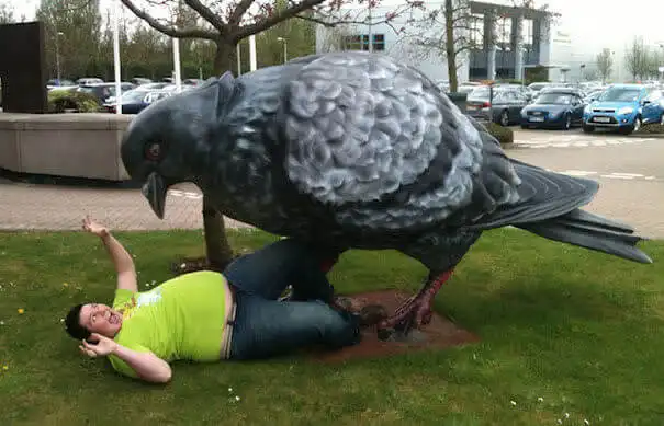 Save Me From the Giant Pigeon