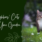 Keep Neighbors' Cats Out Of Your Garden With This Simple Trick