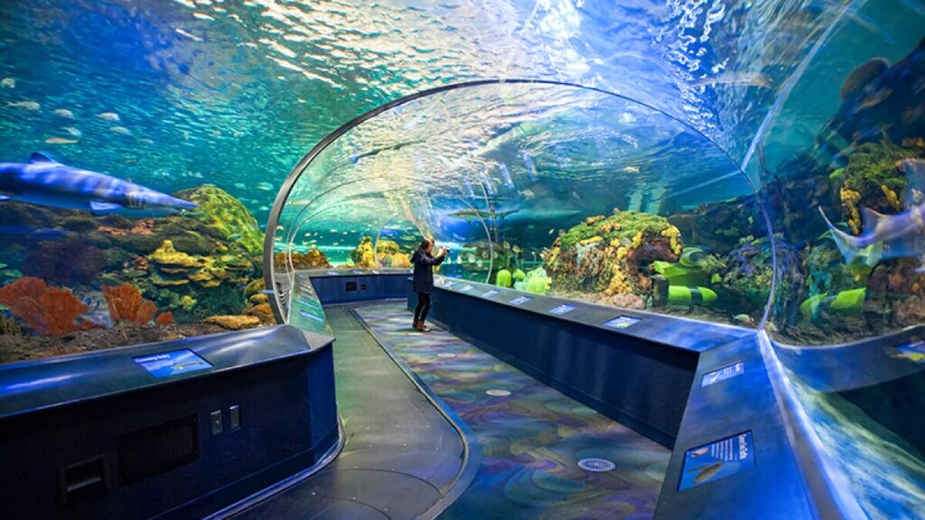 Ripley's Aquarium of Canadan
