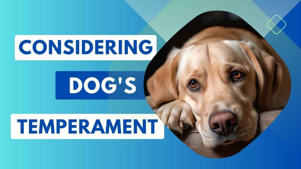 Dogs For Apartment Living: Finding The Right Temperament